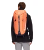 Mammut Trion 38L Winter 2025