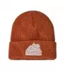 Детска Шапка Patagonia Kid's Logo Beanie Winter 2025
