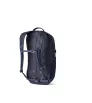 Раница Gregory Nano 20L Summer 2025